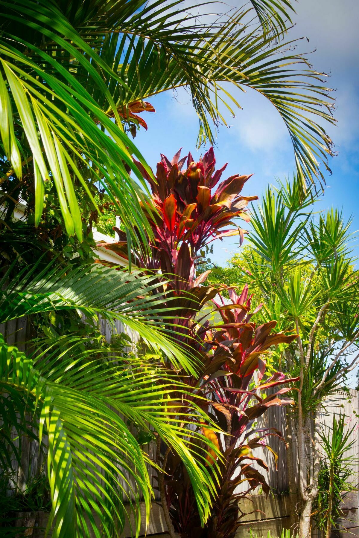 Ruskin House Byron Bay Buitenkant foto