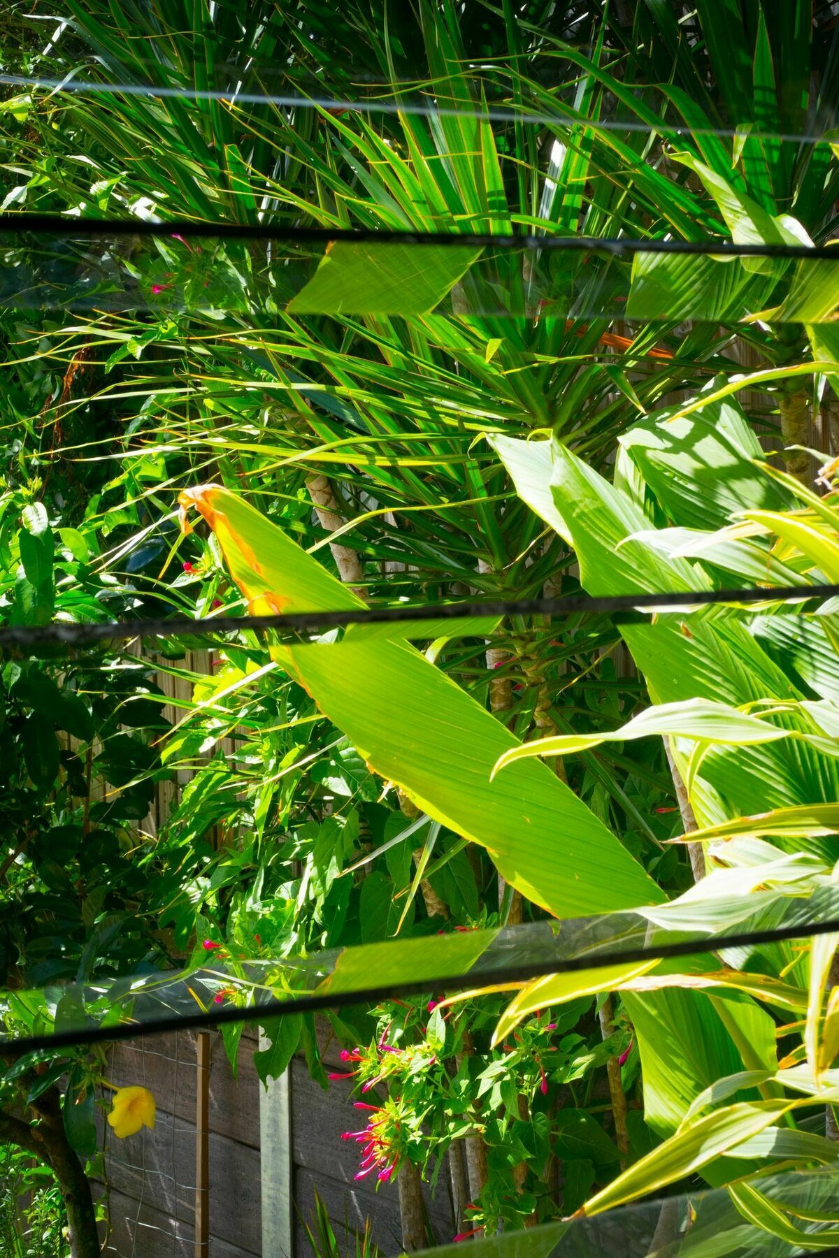 Ruskin House Byron Bay Buitenkant foto